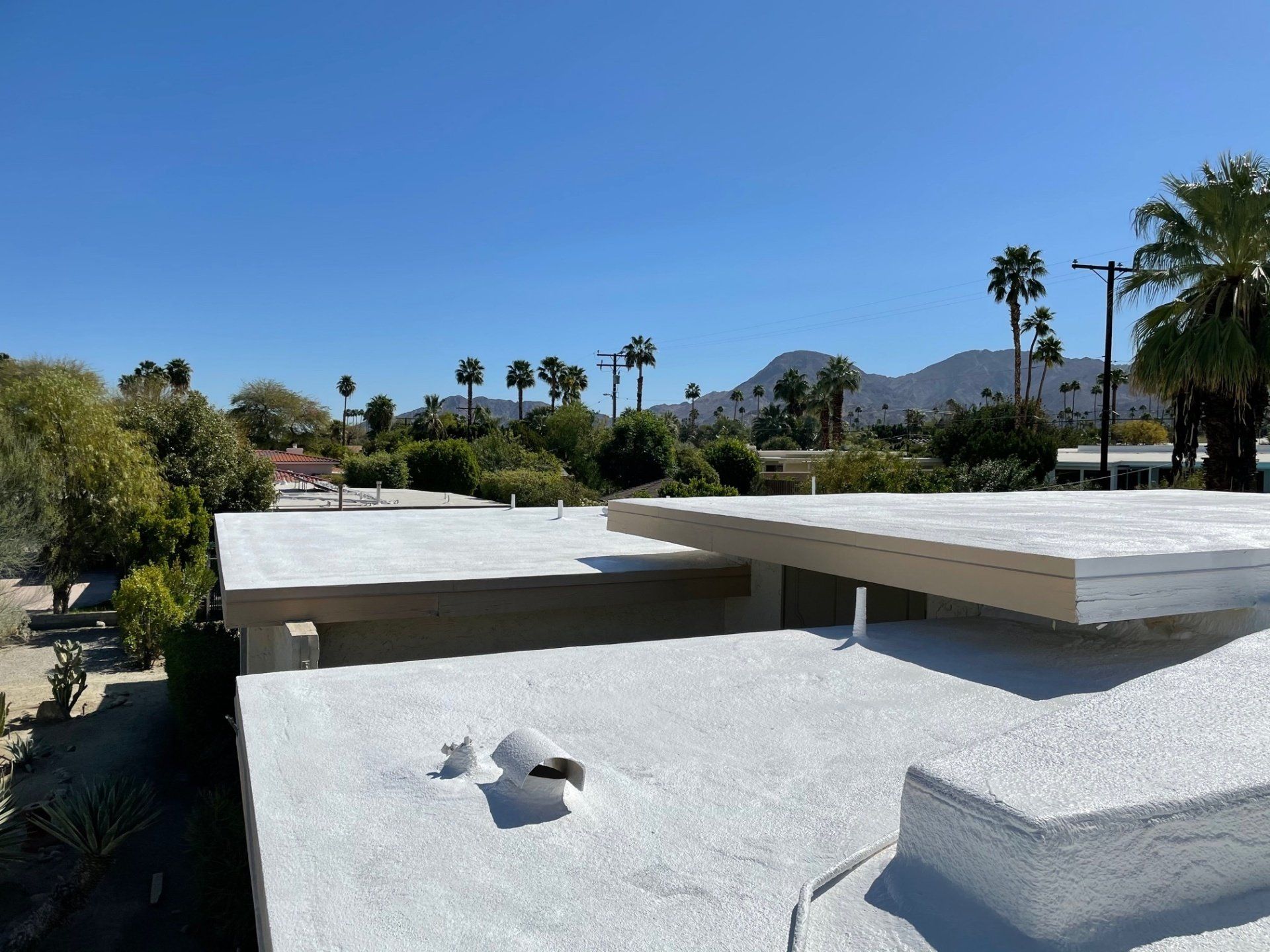 A view of a flat, white roof on a sunny day in a desert setting with palm trees, mountains, and blue sky in the background.