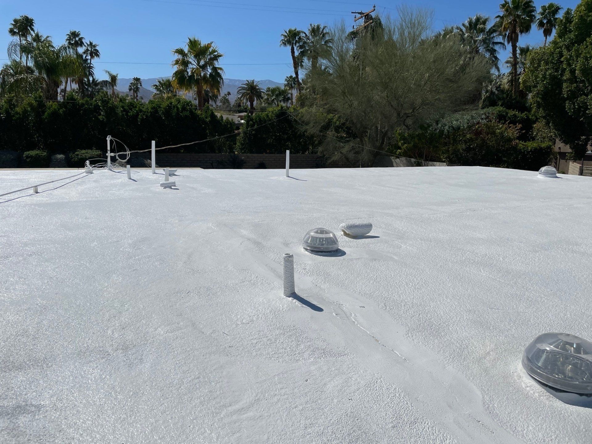 White-coated flat roof in a sunny outdoor setting. Palm trees and other greenery are in the background.