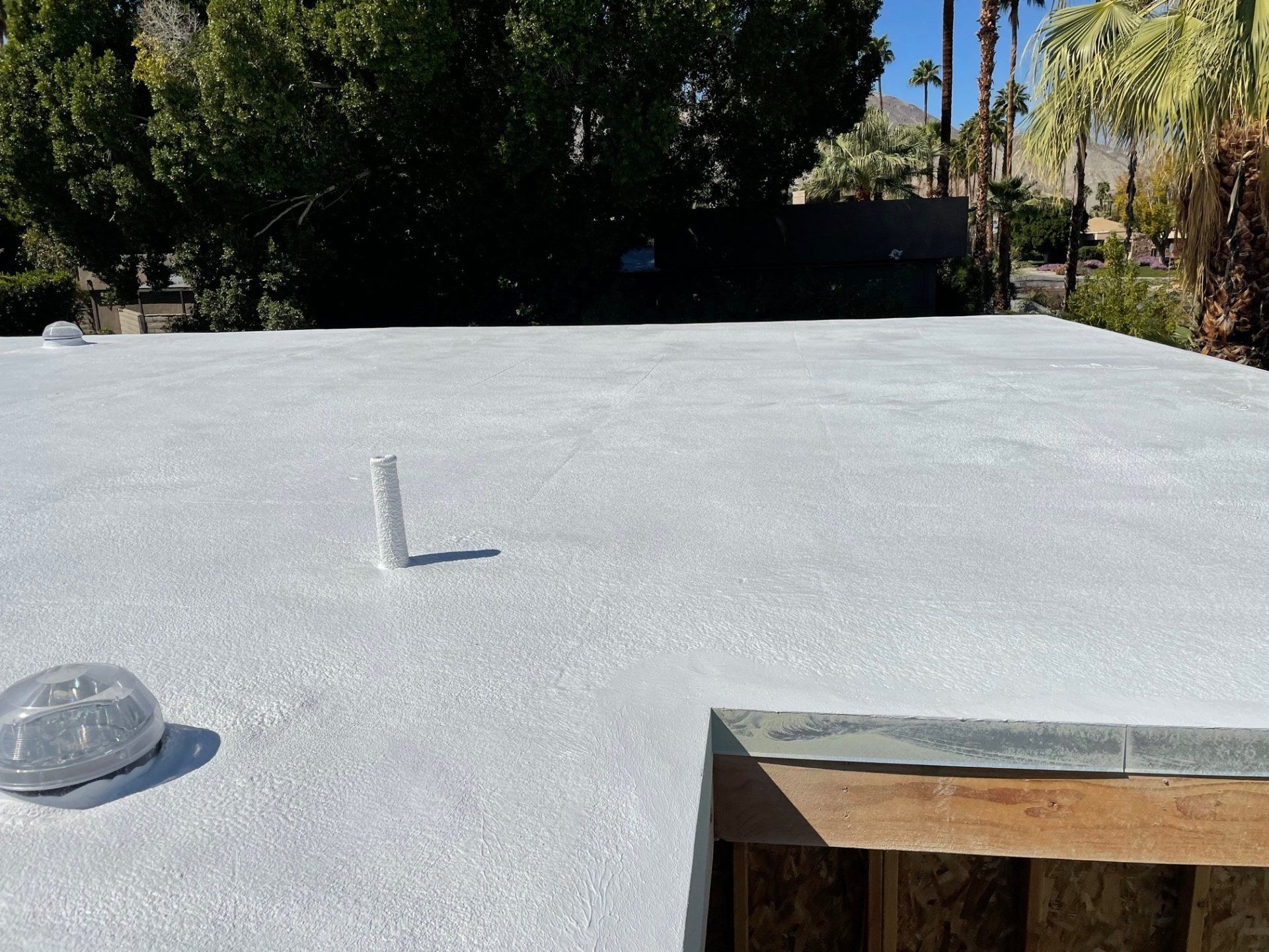A flat white roof with a vent pipe and skylight. Trees and houses are visible in the background under a blue sky.