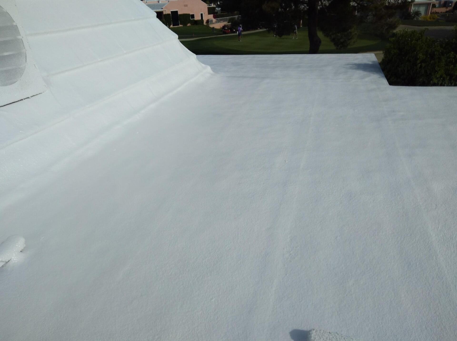White flat roof with visible seams, adjacent to a rounded white structure and a green yard with a shrub.