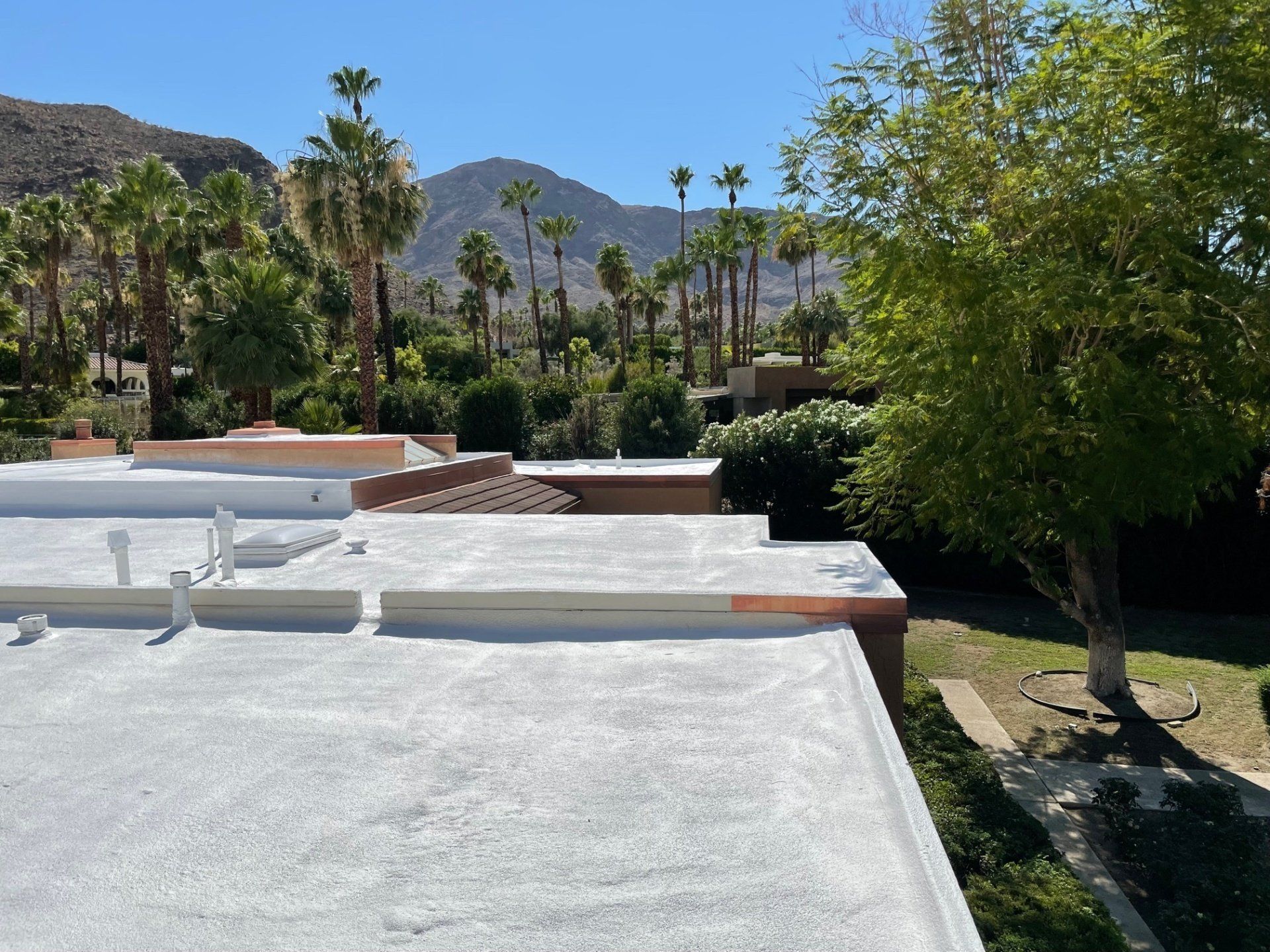 View of a flat roof with mountains and palm trees in the background, under a clear blue sky.