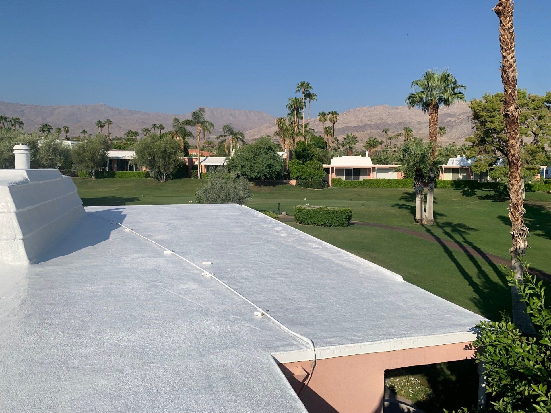 View of a white roof with a green lawn, palm trees, and mountains in the background under a blue sky.