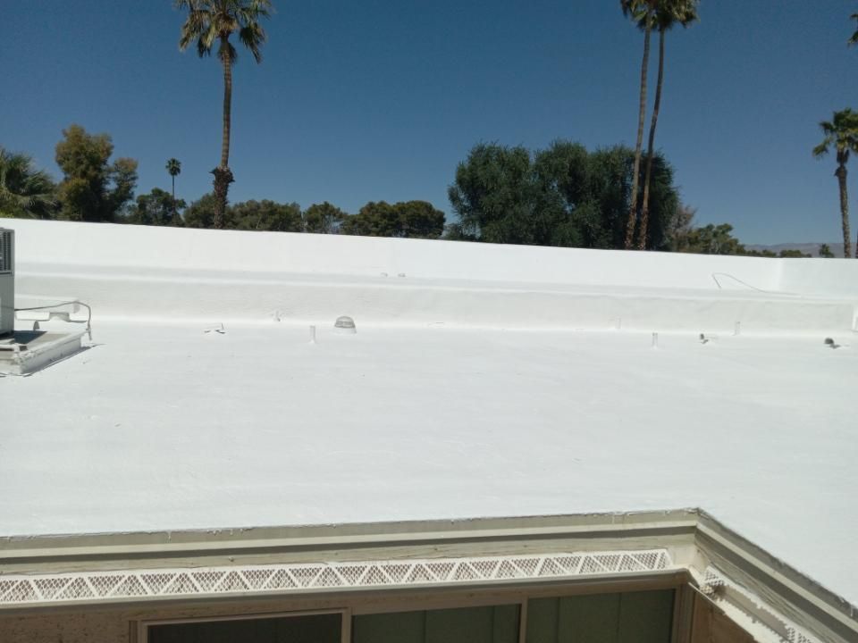 White commercial roof with palm trees in the background under a blue sky.