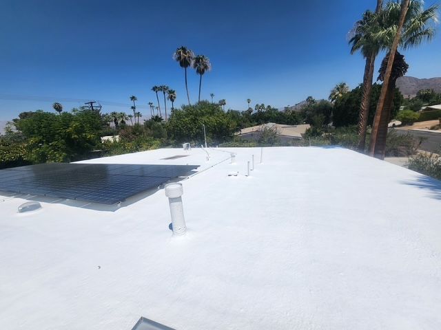 White flat roof with solar panels and palm trees under a clear blue sky.