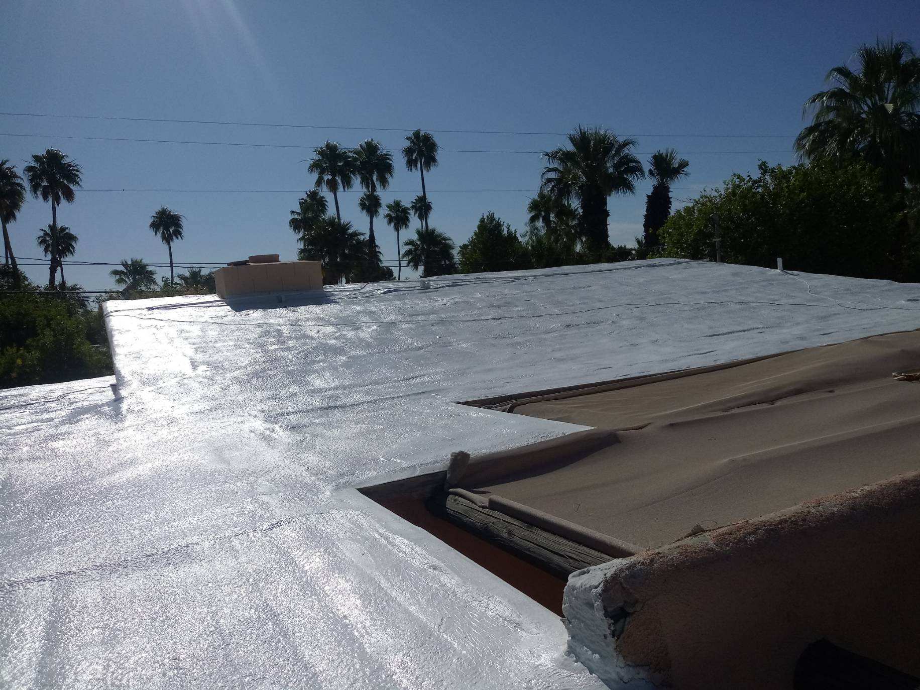 White-coated flat roof, with sunlight reflecting on the surface. Palm trees and a blue sky are visible in the background.