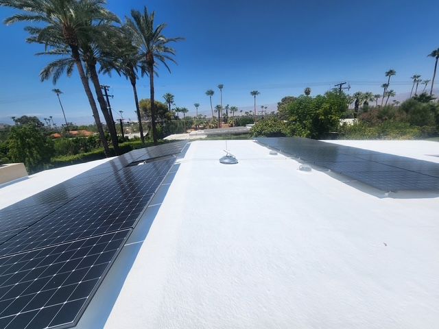 Solar panels on a white roof with palm trees and a clear blue sky in the background.