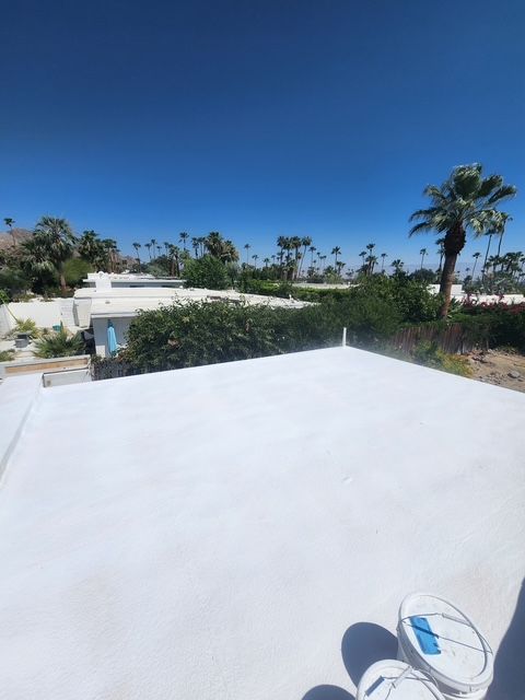 White flat roof with a view of palm trees and a clear blue sky.