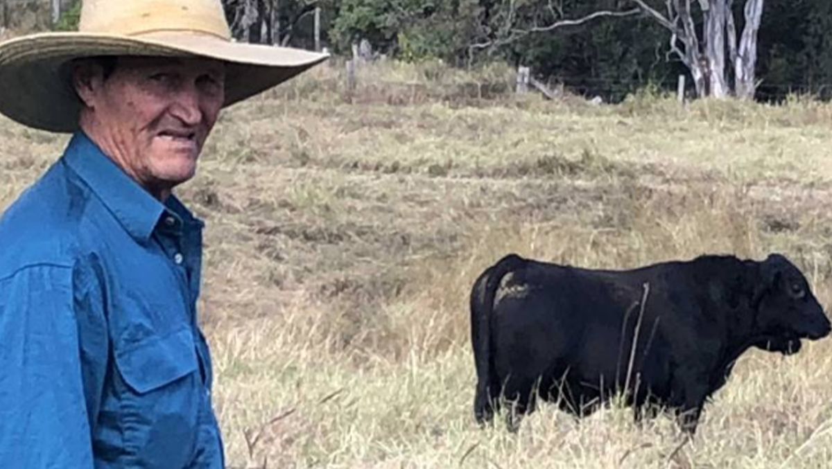 Managing just fine with Angus at Beaudesert