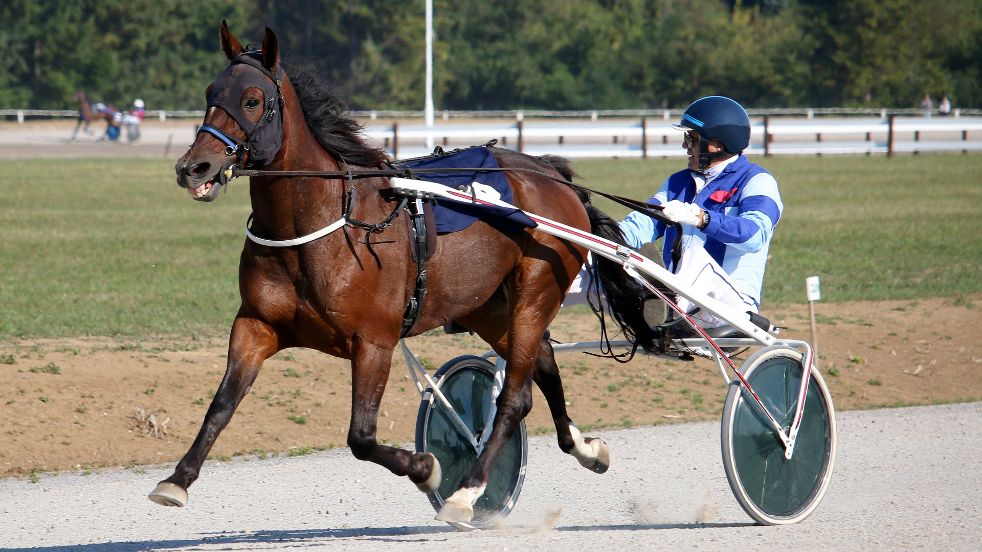 A man is riding a horse drawn carriage on a track