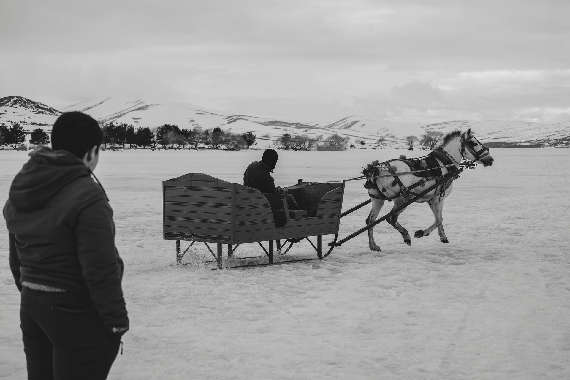A black and white photo of a horse pulling a sleigh in the snow.