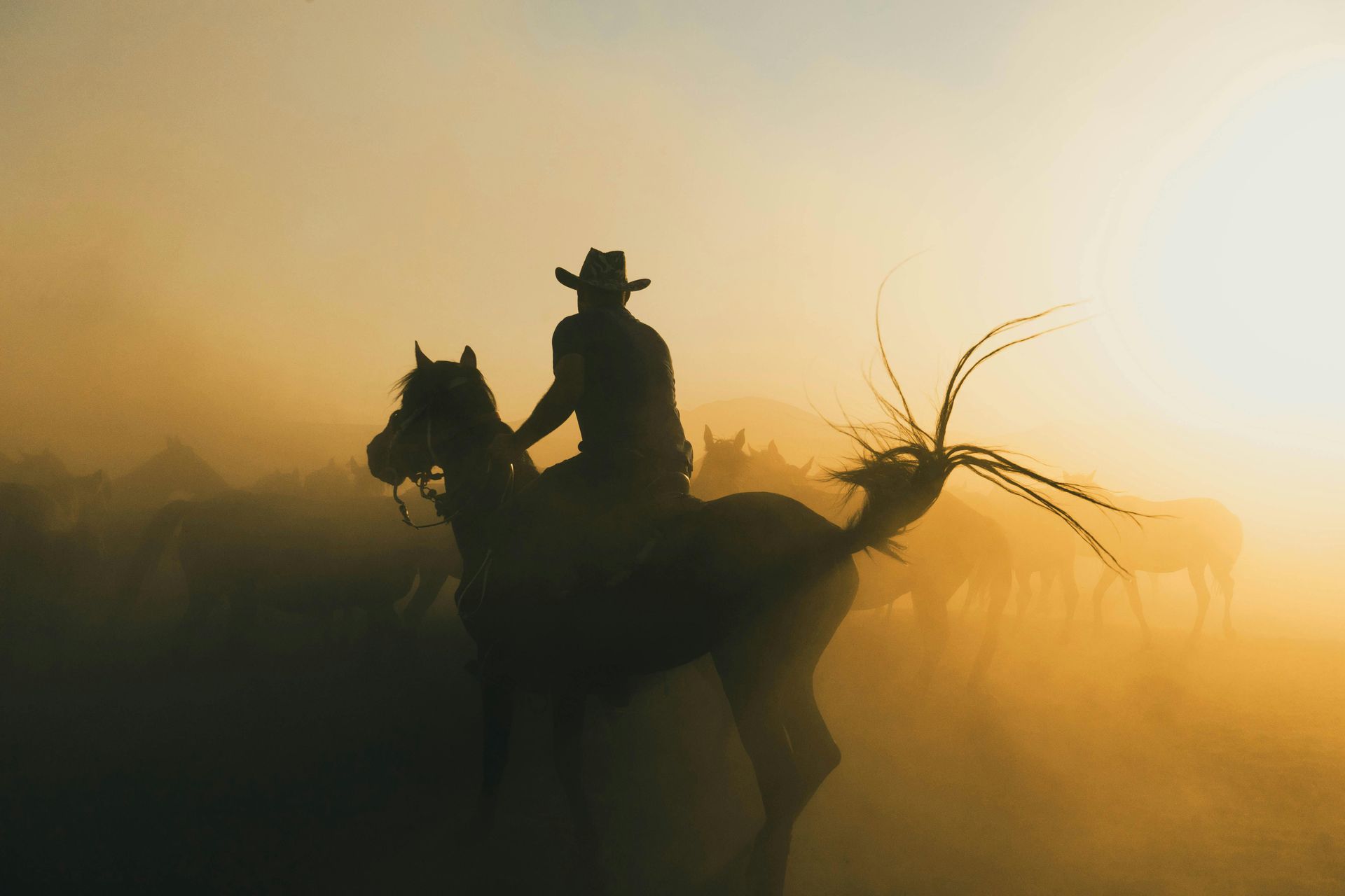 A cowboy is riding a horse in a field at sunset.