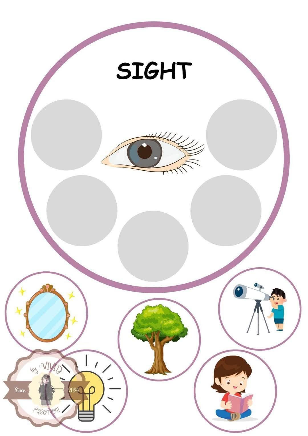 Diagram about sight. Eye in the center; objects like a mirror, tree, and telescope around.