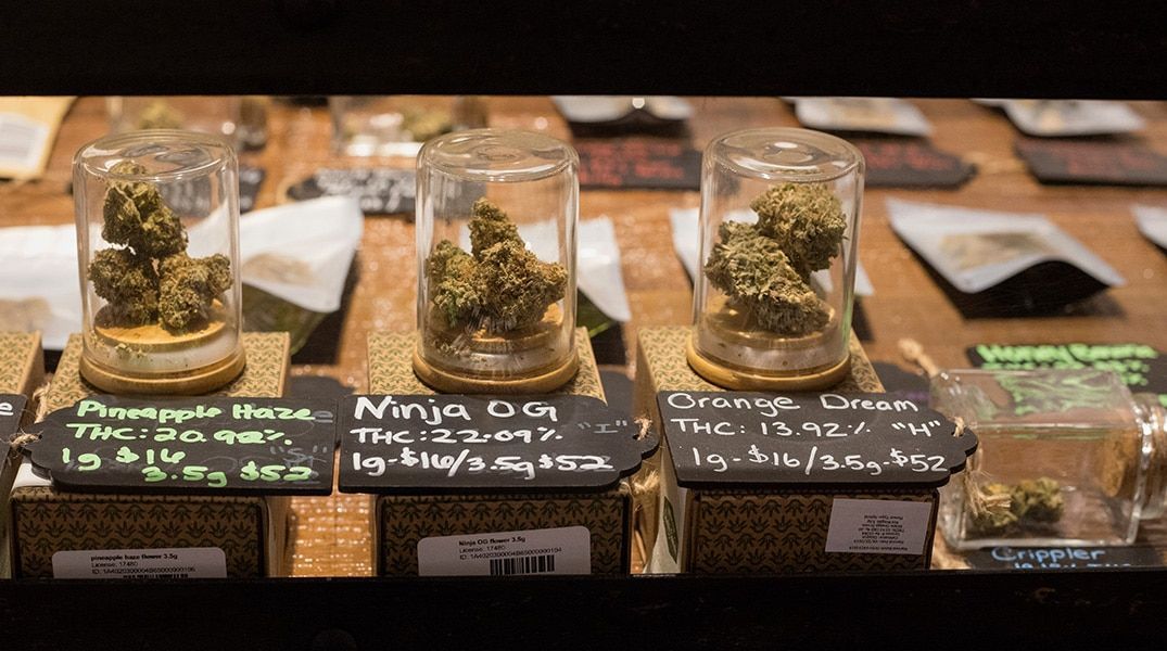 top shelf cannabis