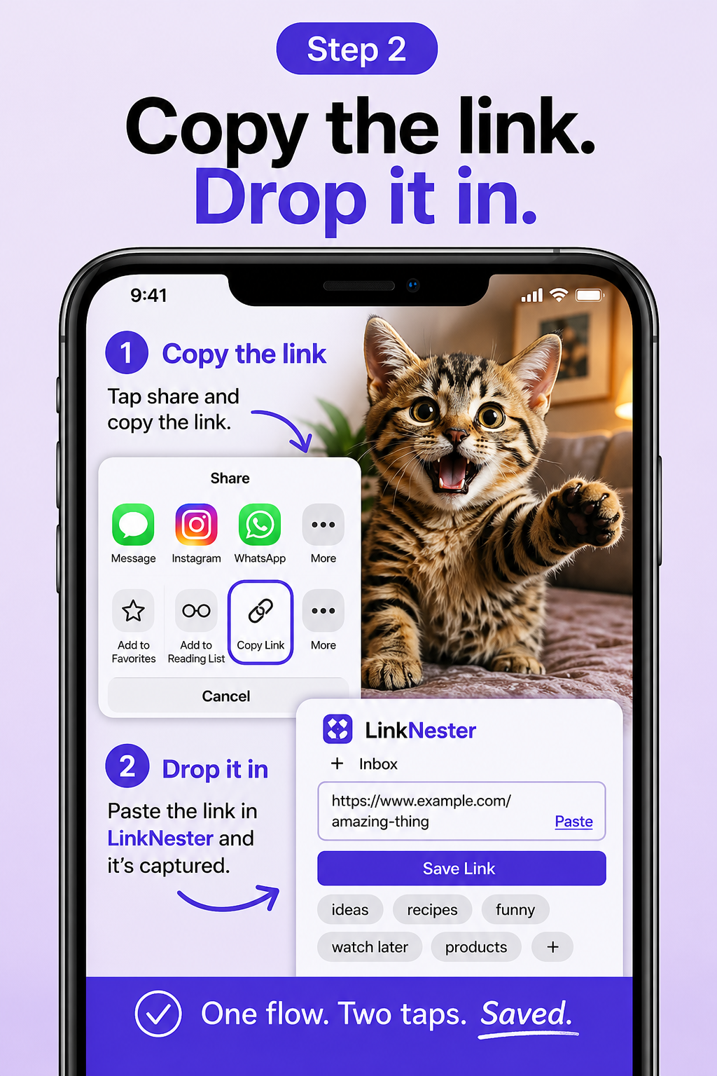 Promotional graphic showing a kitten in a phone mockup with “Copy the link. Drop it in.” and sharing app icons