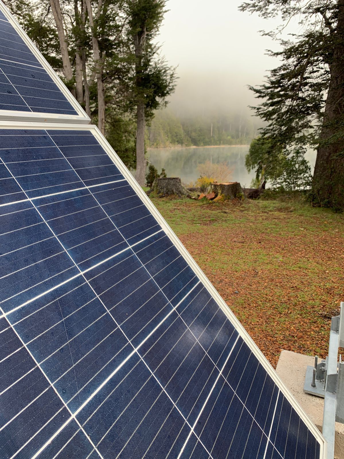 Paneles solares orientados hacia un lago, con árboles brumosos al fondo.
