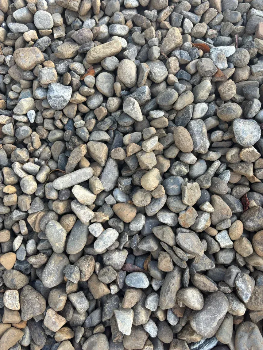 Close-up of small gray and tan pebbles covering the ground