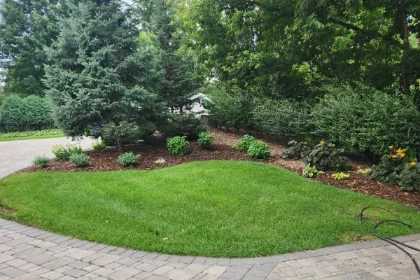 Complete lawn care services in Loretto MN