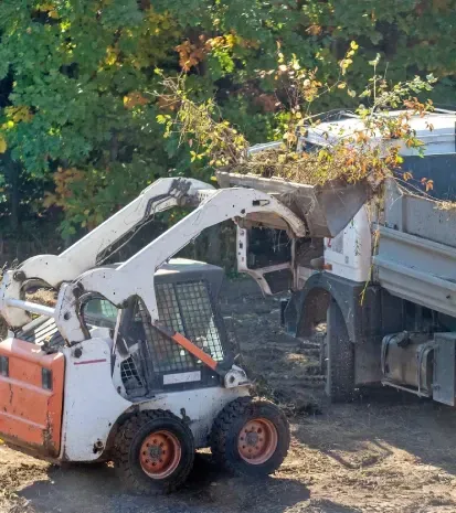 Professional land clearing services in Loretto MN
