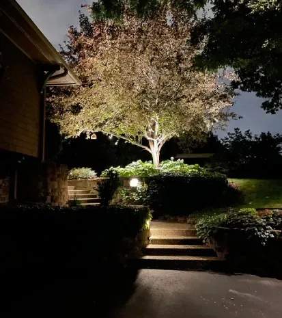 Professional landscape lighting installation in Loretto MN