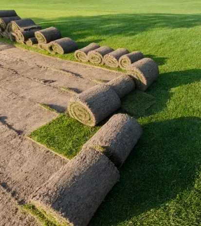 Professional sod installation services in Loretto MN for instant green lawns