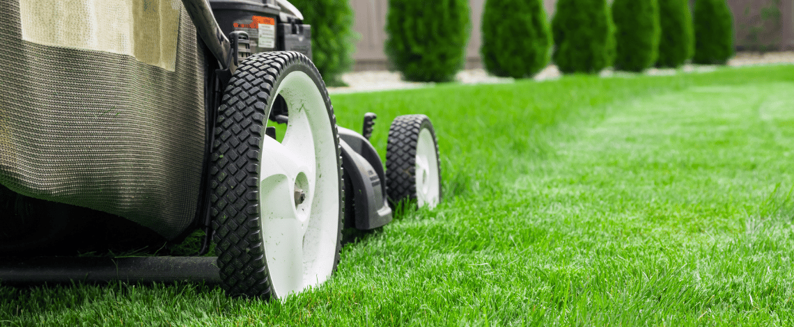 what is included in a full program lawn care loretto
