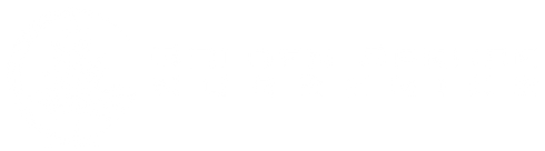 Mostly blank white rectangle with a thin black horizontal line near the bottom.