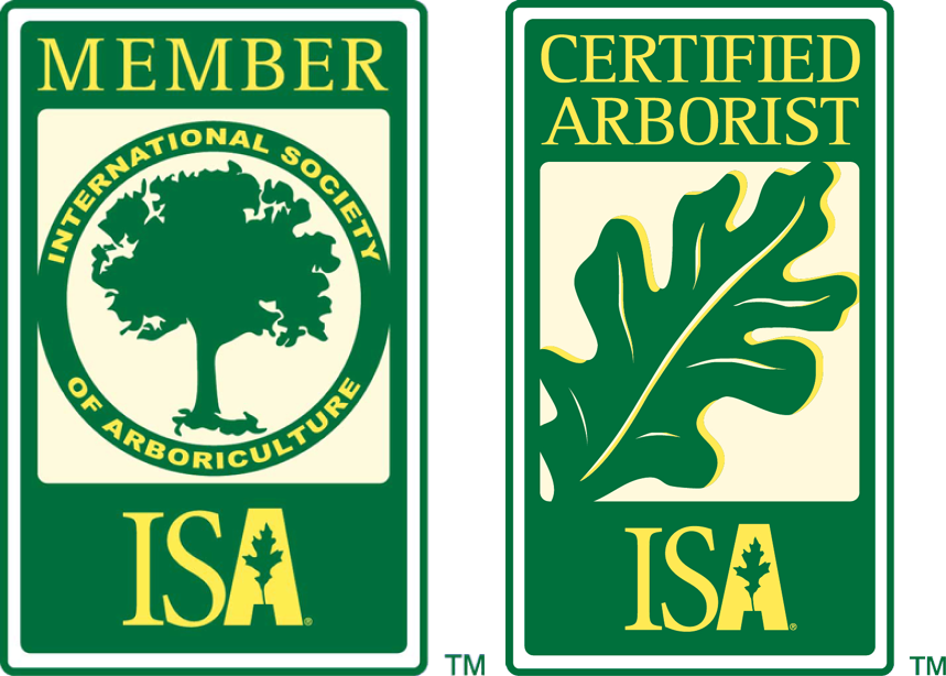 a member of the international society of arboriculture and a certified arborist