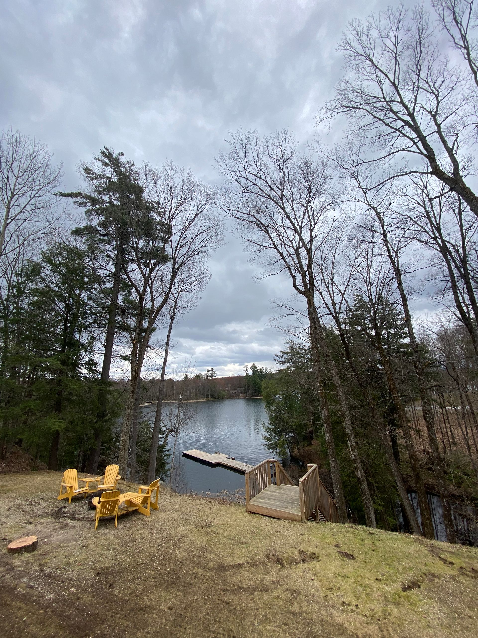 Tree Pruning. CBL Tree Services at a waterfront location.