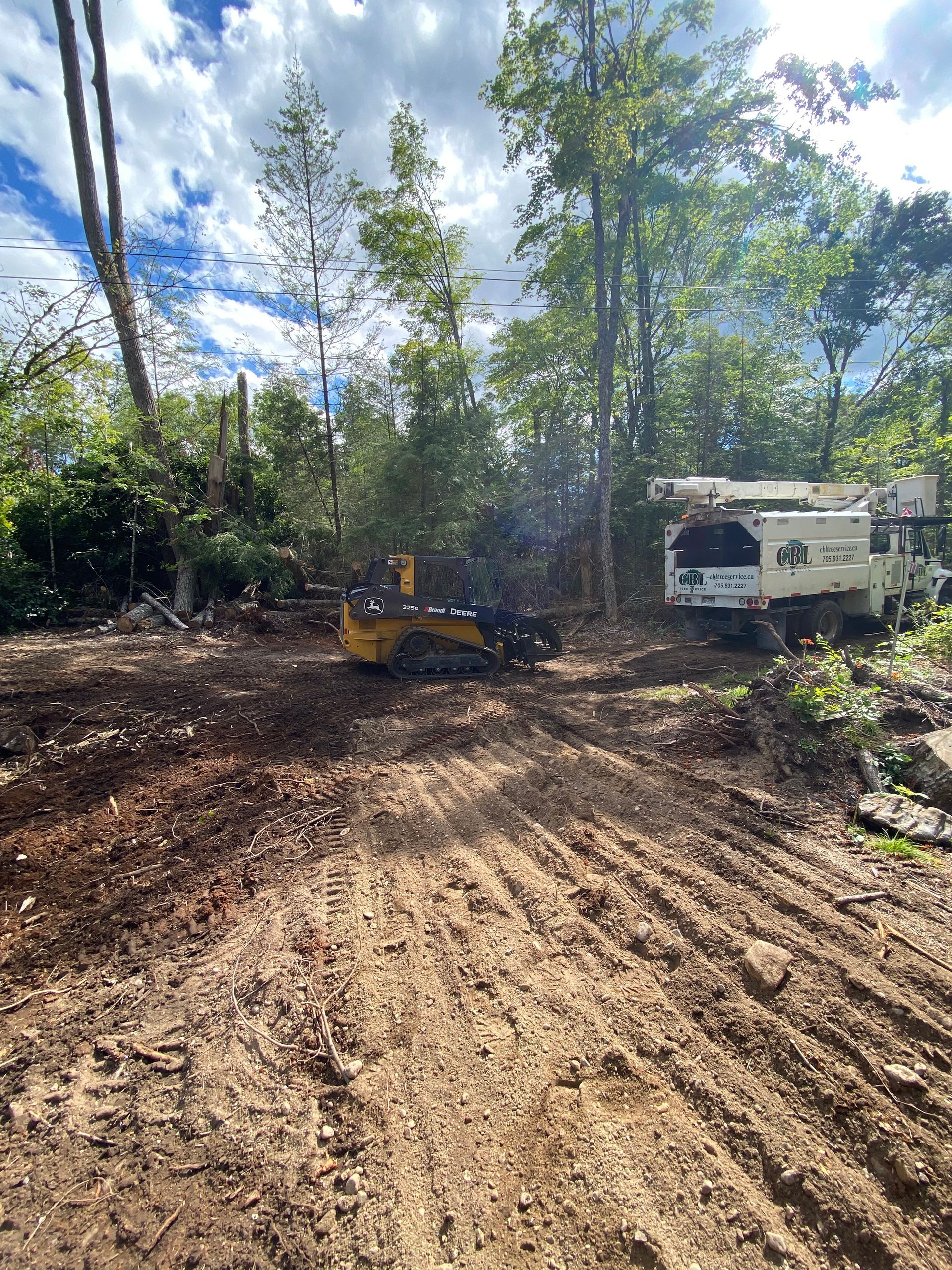 Lot Clearing | CBL Tree Services