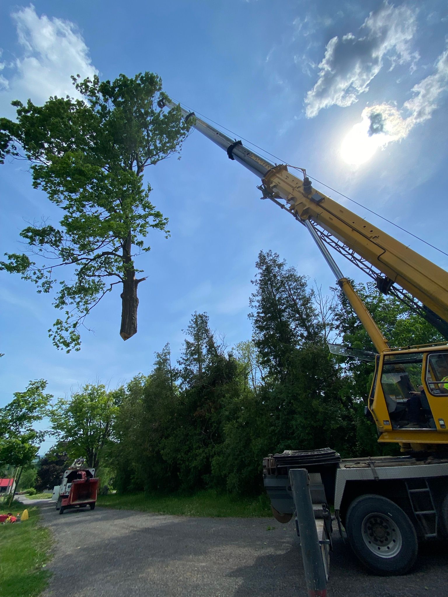 Crane Assisted Tree Removal