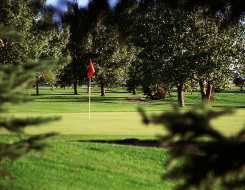 Trees reflected in a calm pond, green grass, rocks, blue sky.