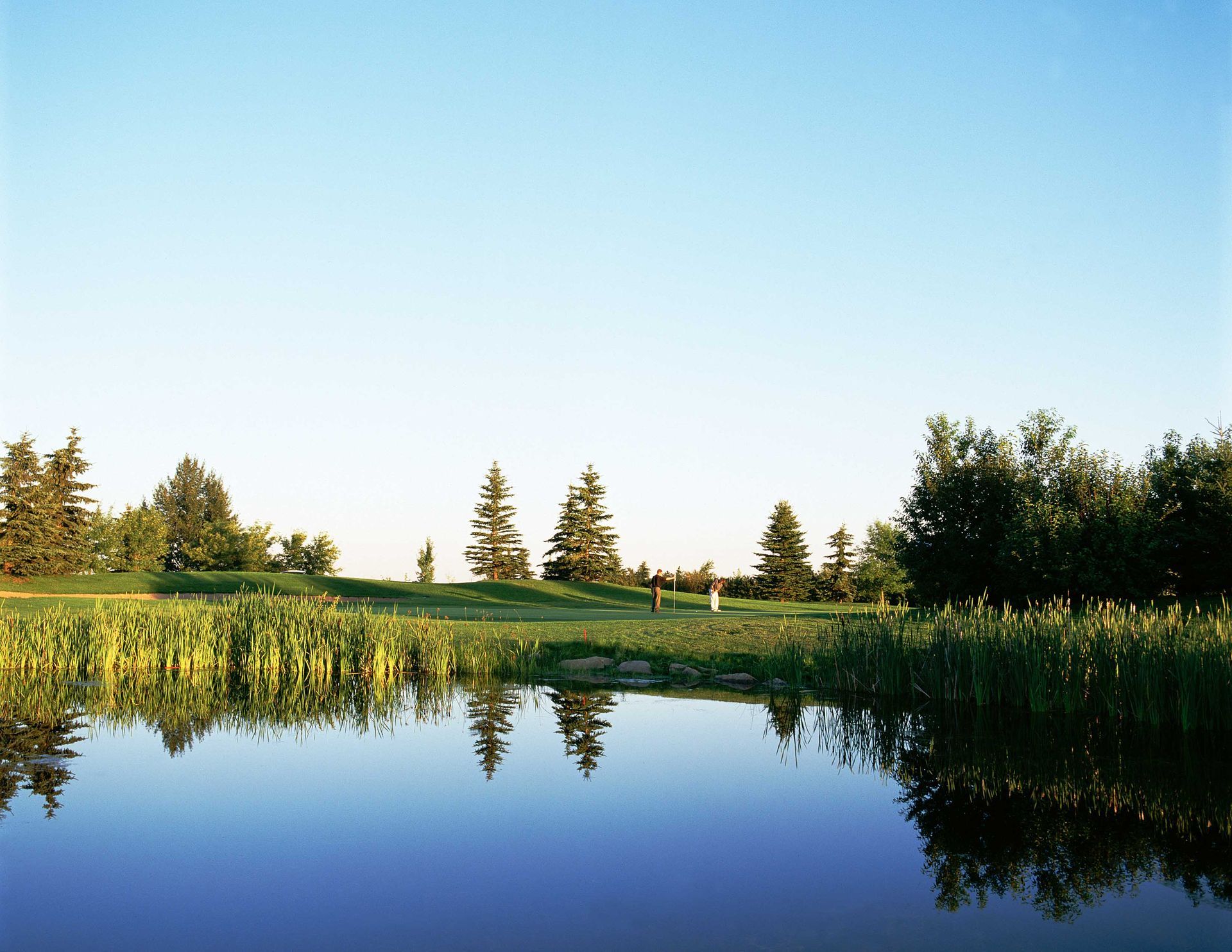 Sun setting through trees on a grassy golf course, casting long shadows.