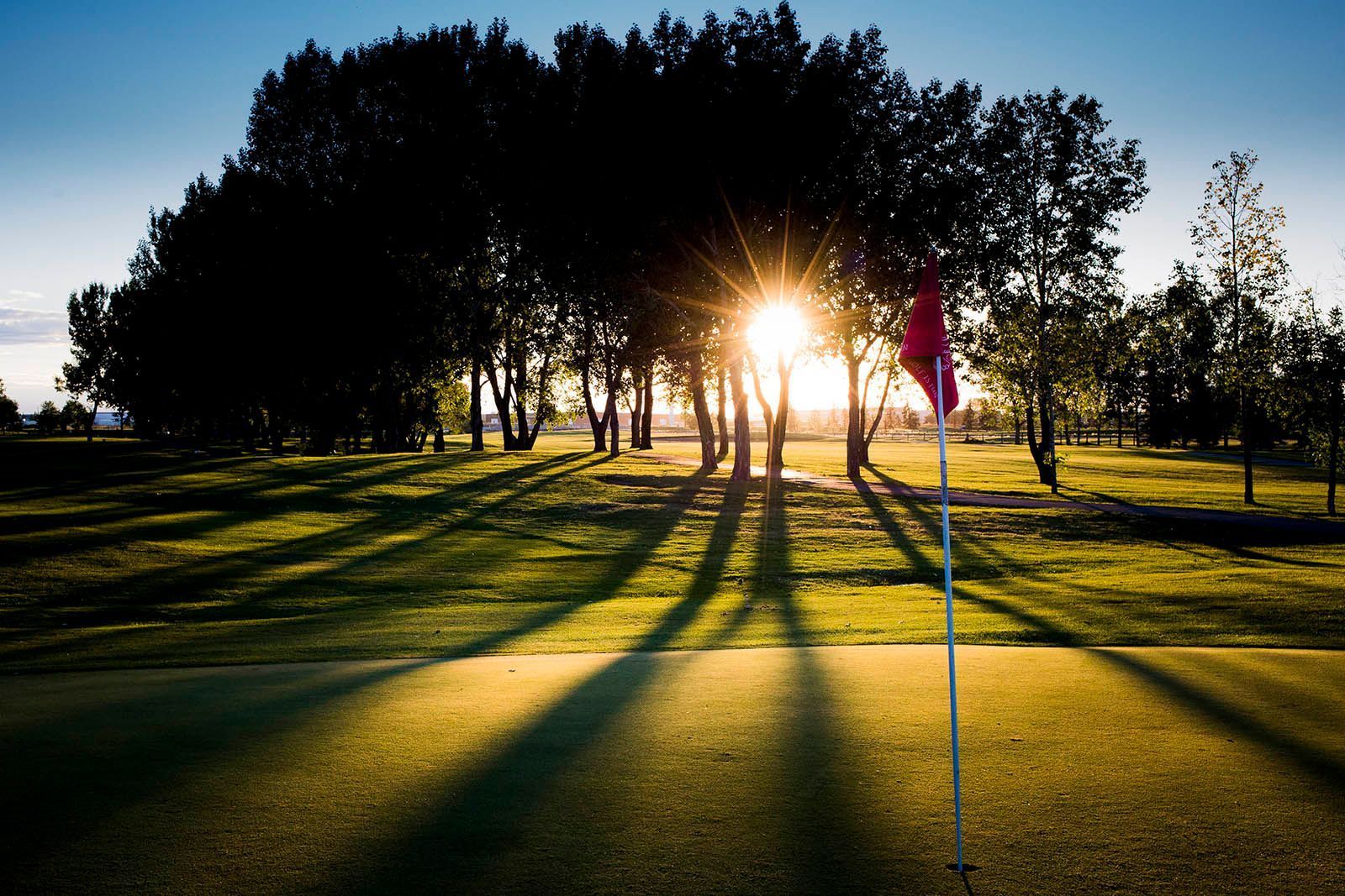 Sunset over golf green; trees silhouetted, sunbeams cast long shadows on grass; red flag on the right.