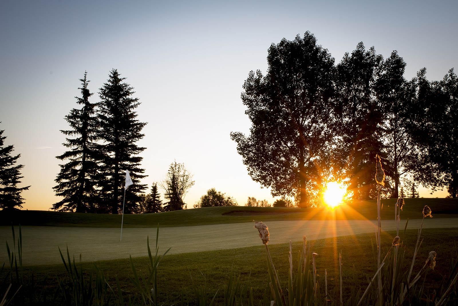 Sunset over a golf course. Trees silhouette against the bright sun over green grass and a flag.