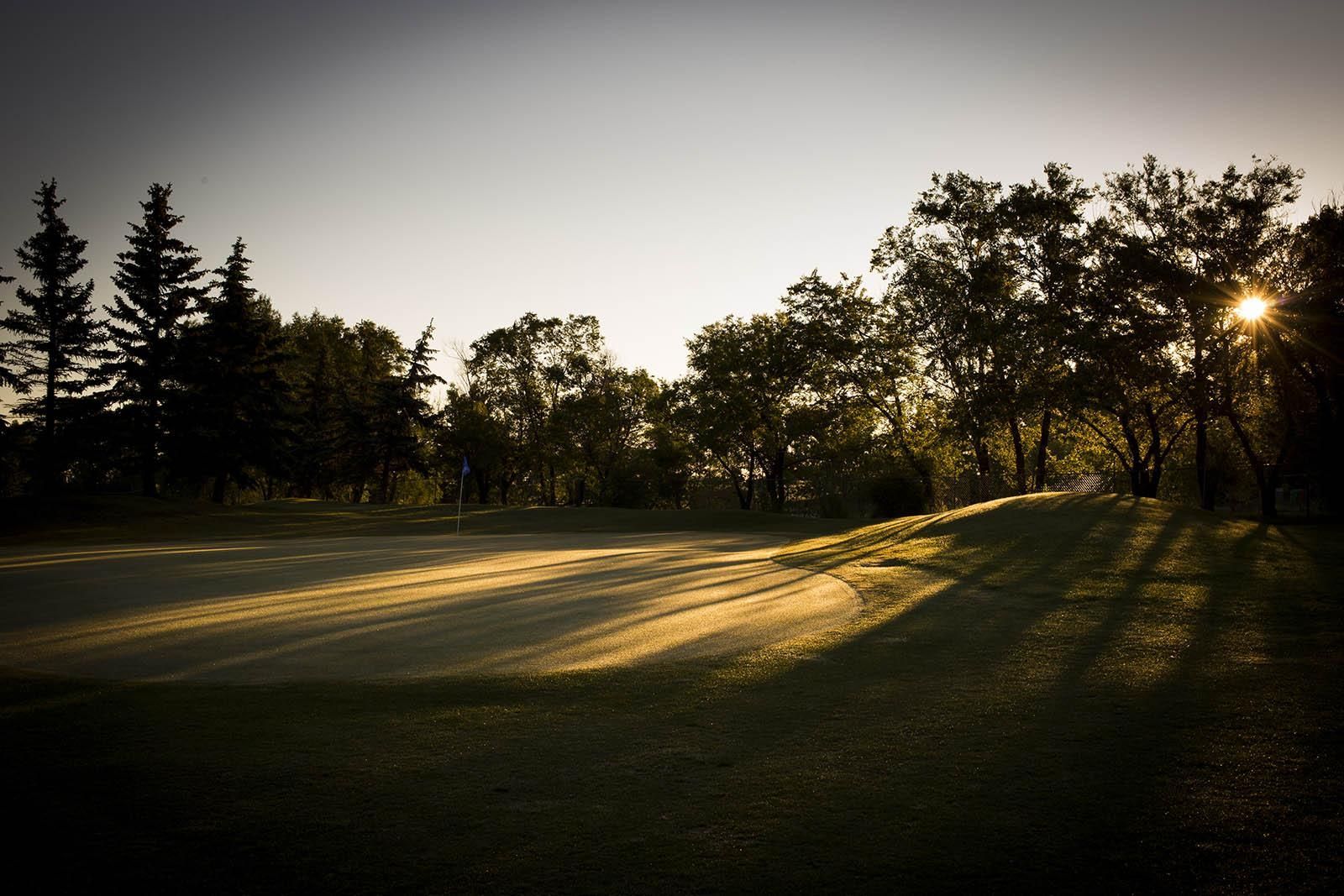 Golf course at sunrise, green grass, trees, and long shadows cast by the sun.