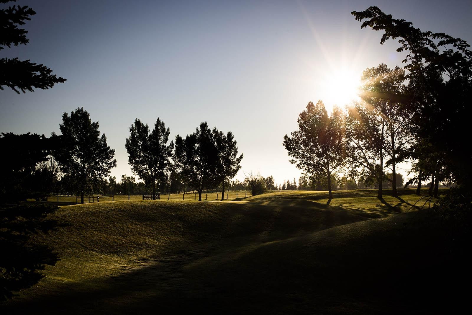 Sunrise over a grassy field with trees silhouetted against the bright sun.