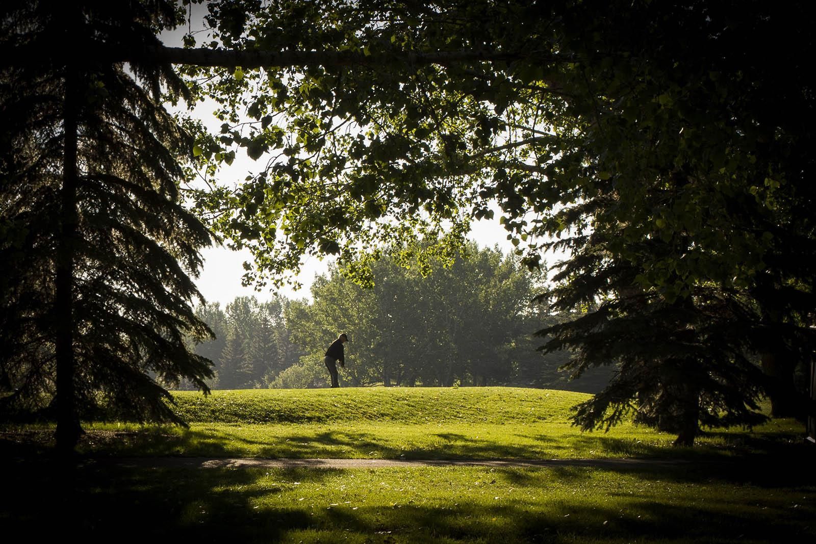 A person golfing on a sunny, grassy course framed by trees.
