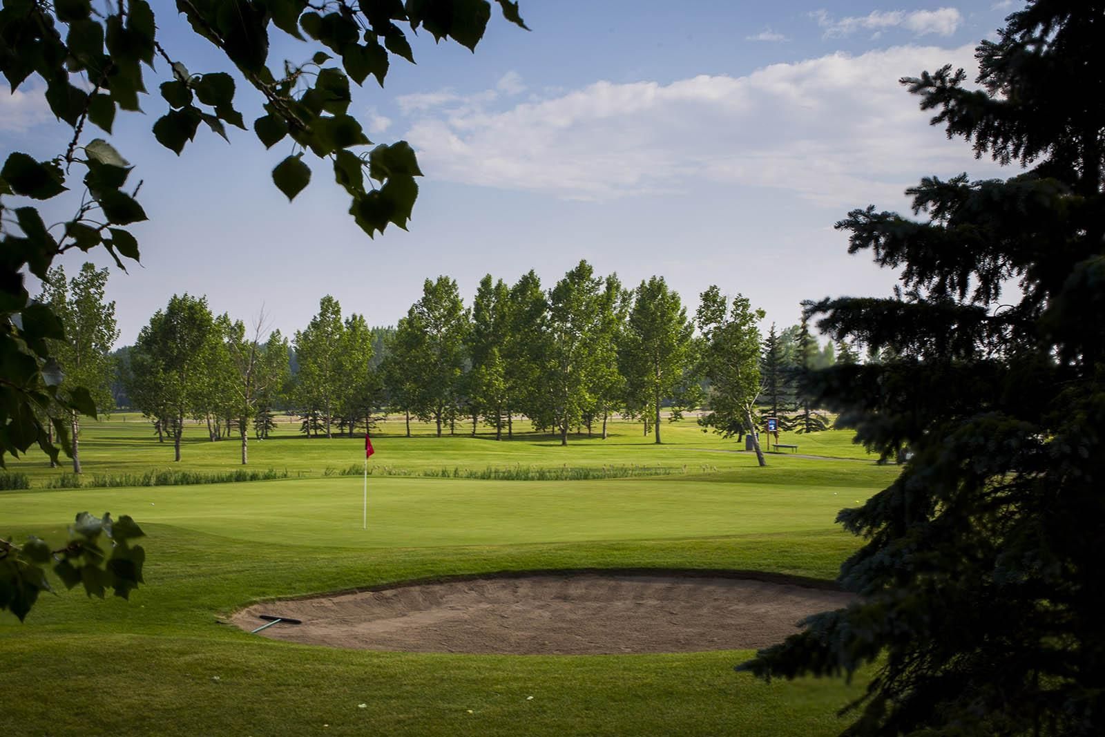Green golf course with sand trap and trees under a cloudy sky.