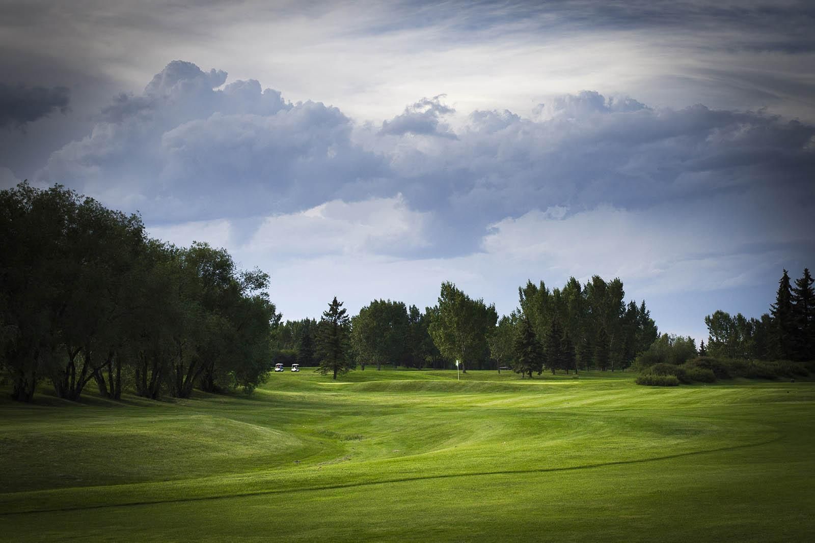 Green golf course under a cloudy sky, trees line the edges.