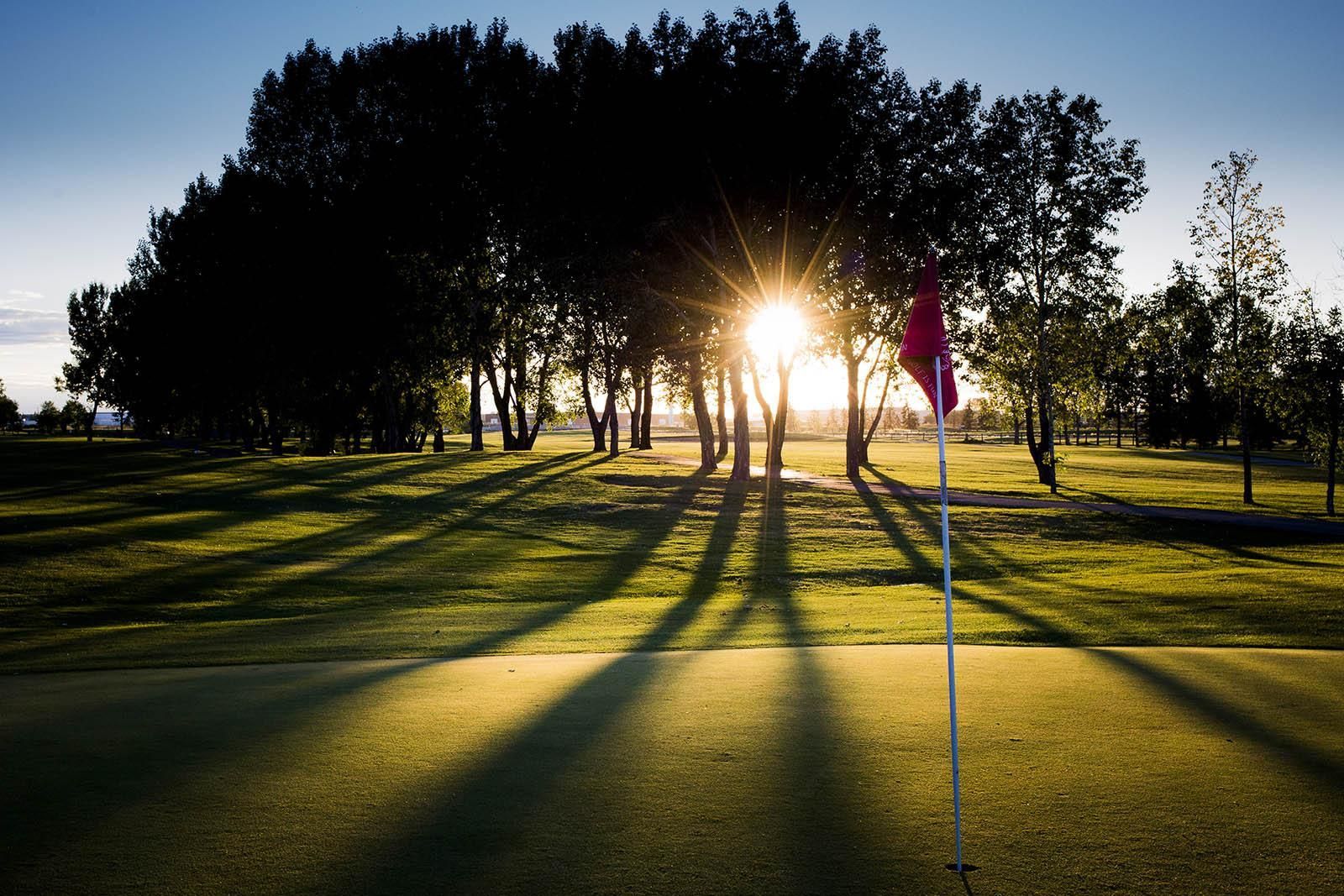 Setting sun over a golf green with a red flag, casting long shadows from trees.