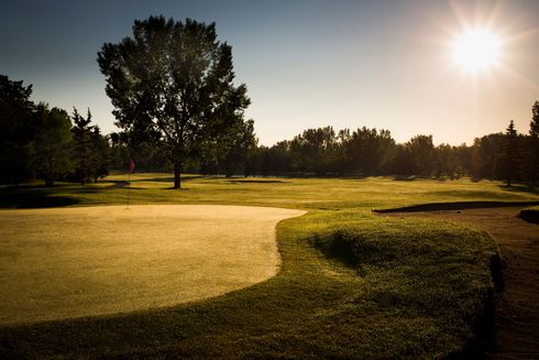 Golf course on a sunny day. Green grass, sand trap, tree, and bright sun in the sky.