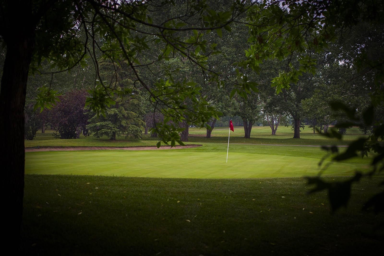 Green golf course, red flag, trees in the background, rain falling.