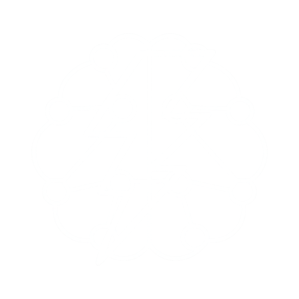 Connects IO Intelligent Revenue Optimization System 