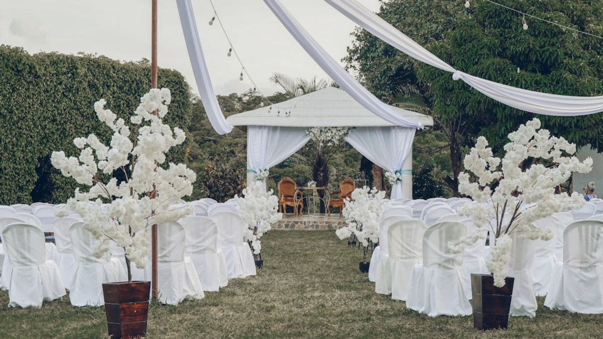 Montaje para una ceremonia de boda al aire libre con sillas blancas, árboles florales