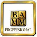 BAMM Logo, British Association for Modern Mosaics