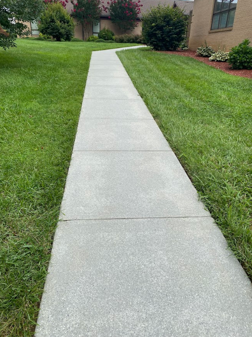 A concrete walkway going through a lush green field.