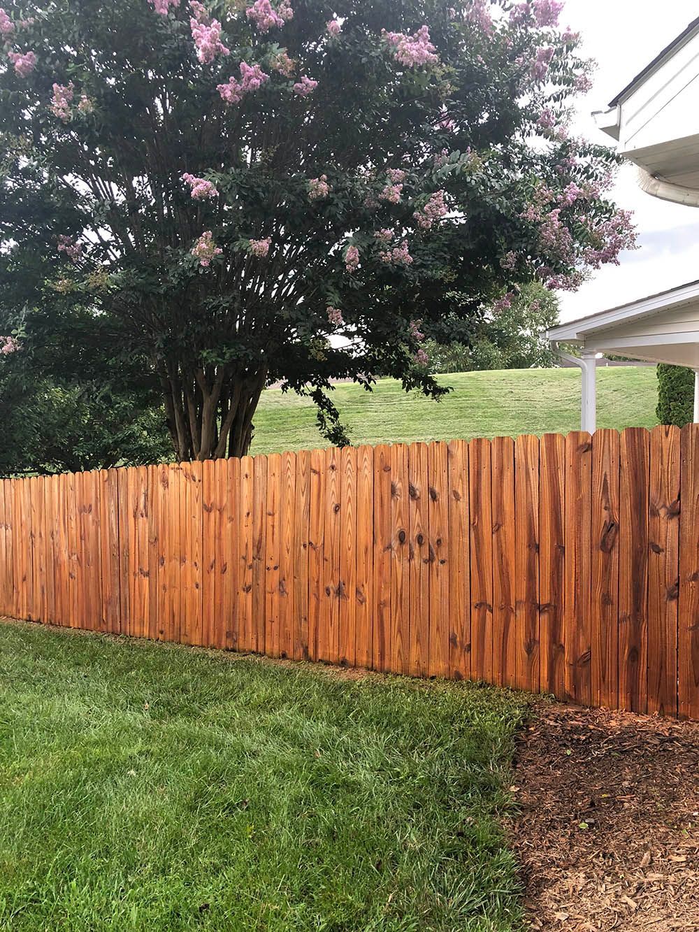 A wooden fence surrounds a lush green yard with a tree in the background.