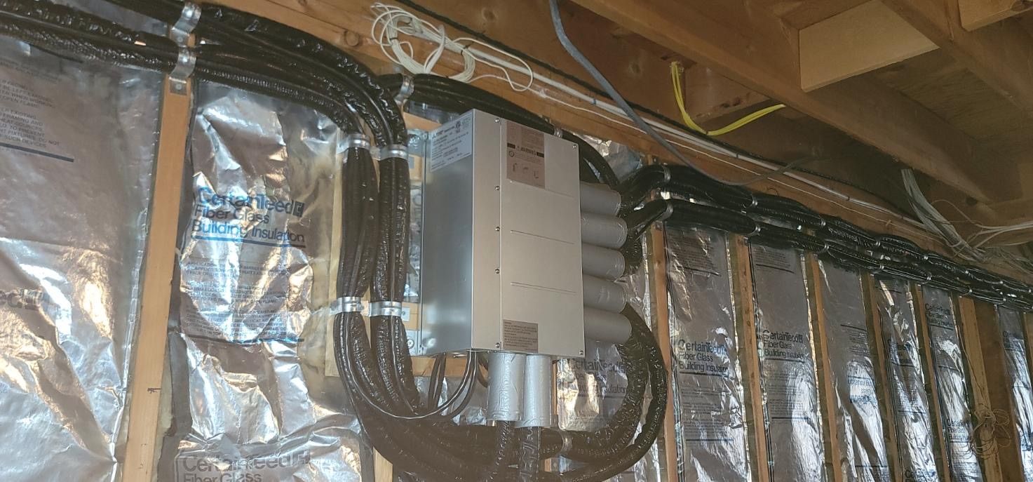 Electrical wiring and junction box in a wall cavity, with insulation and wood framing.