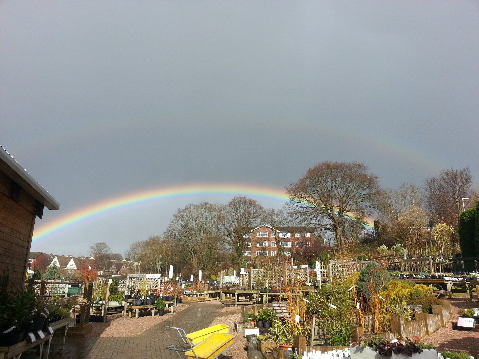 Greenfingers Garden Centre, Pound Lane, Exmouth