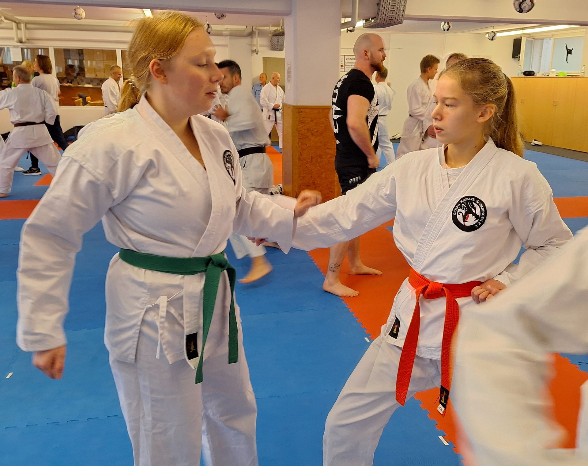 Kempo Karate Sigmaringen ein Verein für Kinder, Jugendliche, Erwachsene. Kampfsportverein mit der Stilrichtung Shaolin Kempo. Karateverein mit Vereinsleben.